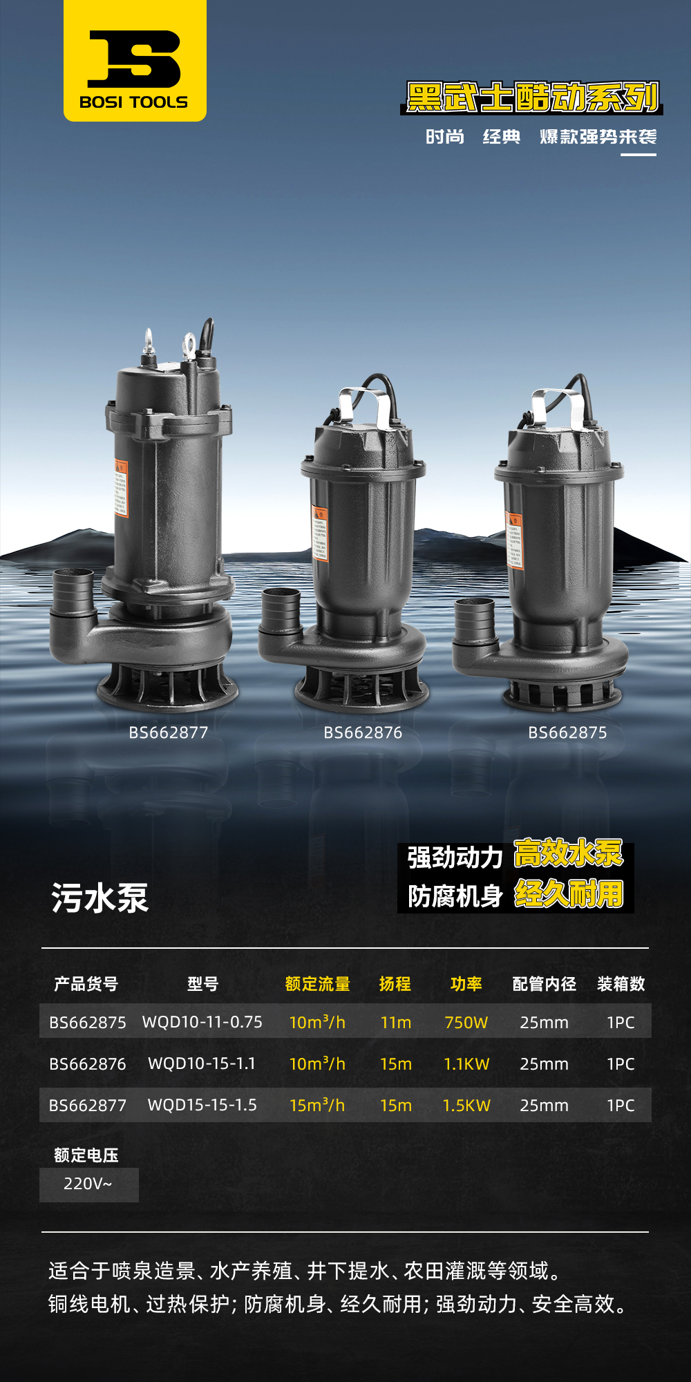 BS662875污水泵.jpg