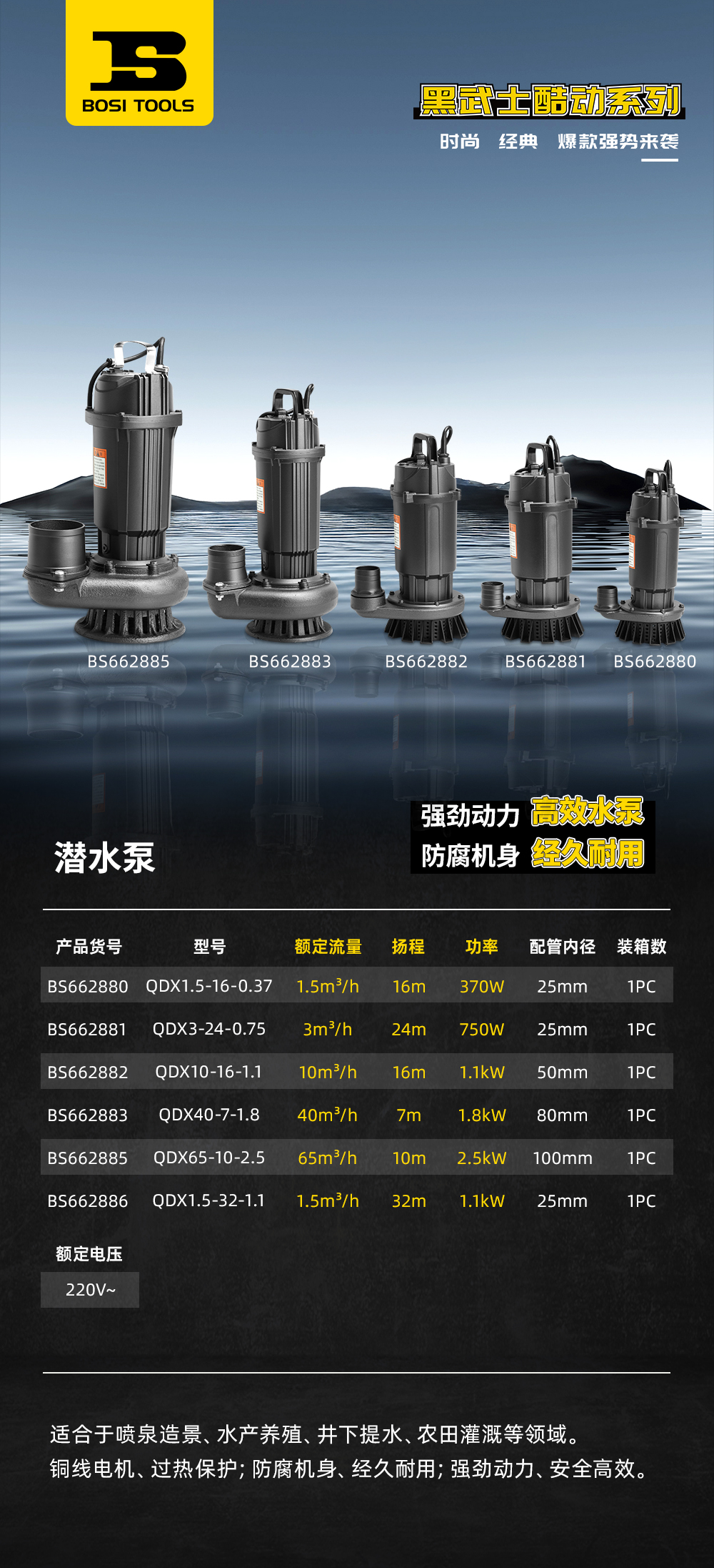 BS662880潛水泵.jpg