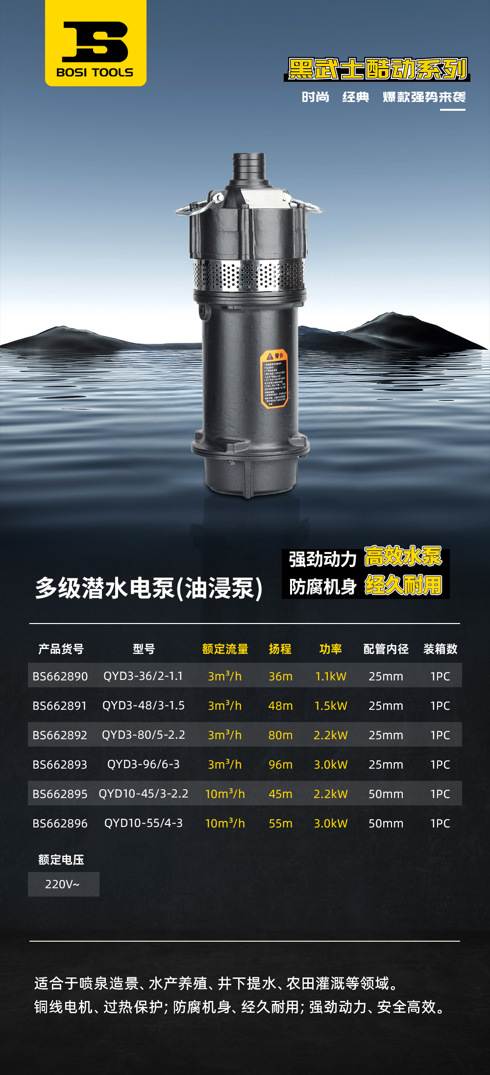 BS662890多級(jí)潛水電泵.jpg