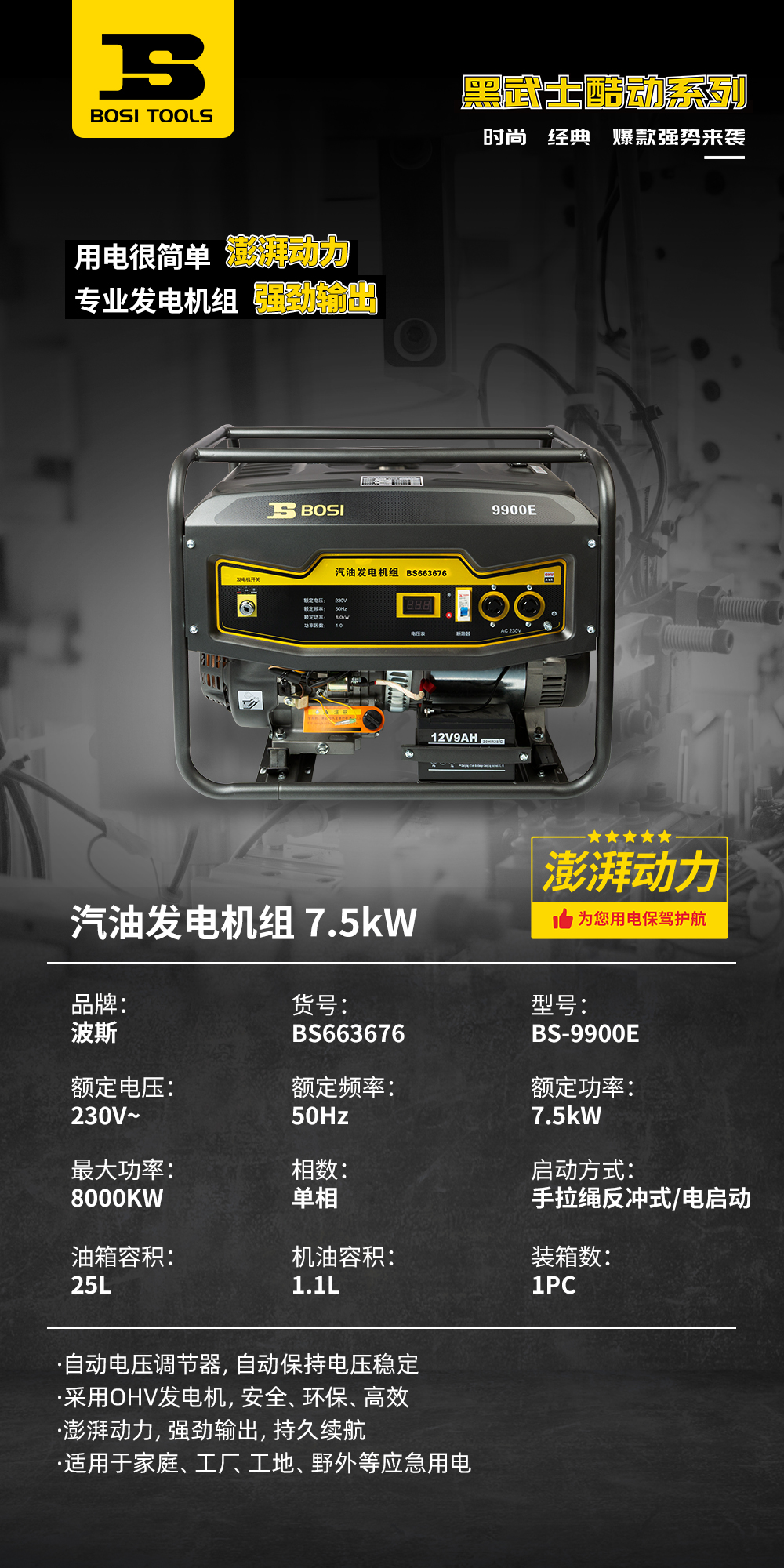 BS663676汽油發(fā)電機組1.jpg